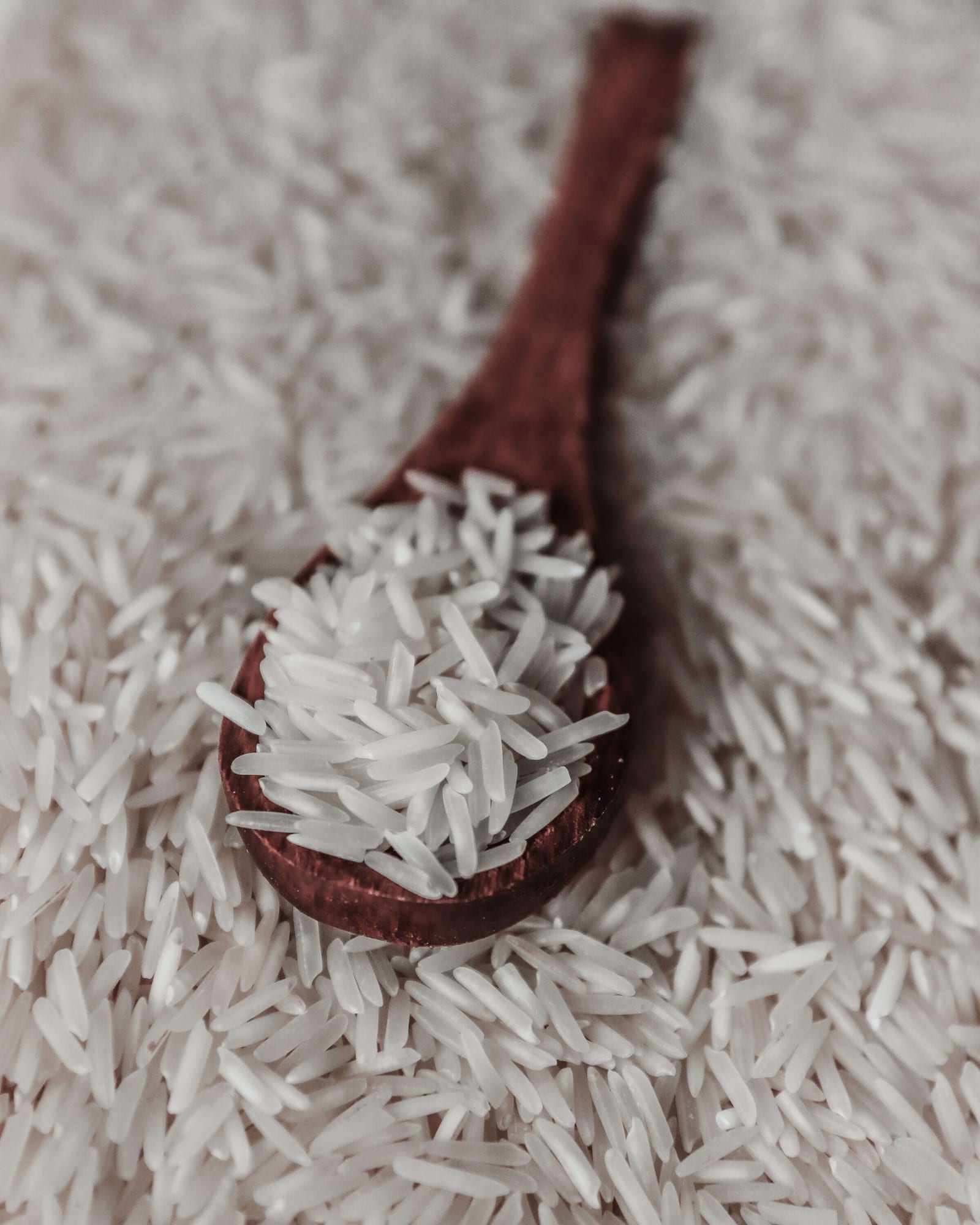 Basmati Rice, export grade