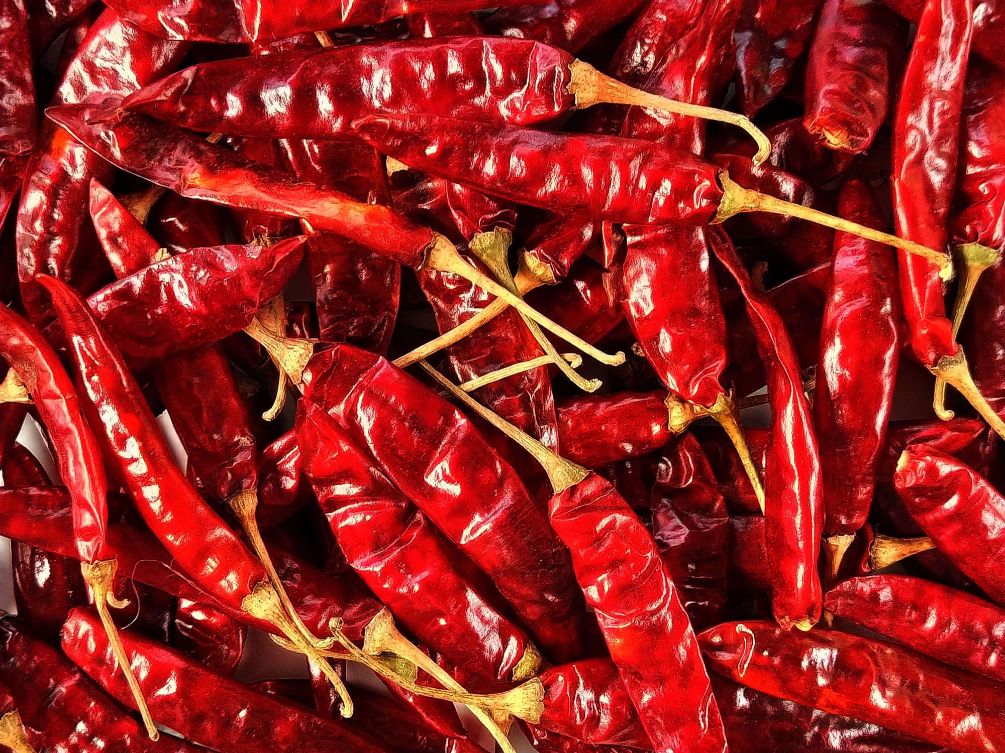 Dry Red Chilli, export grade