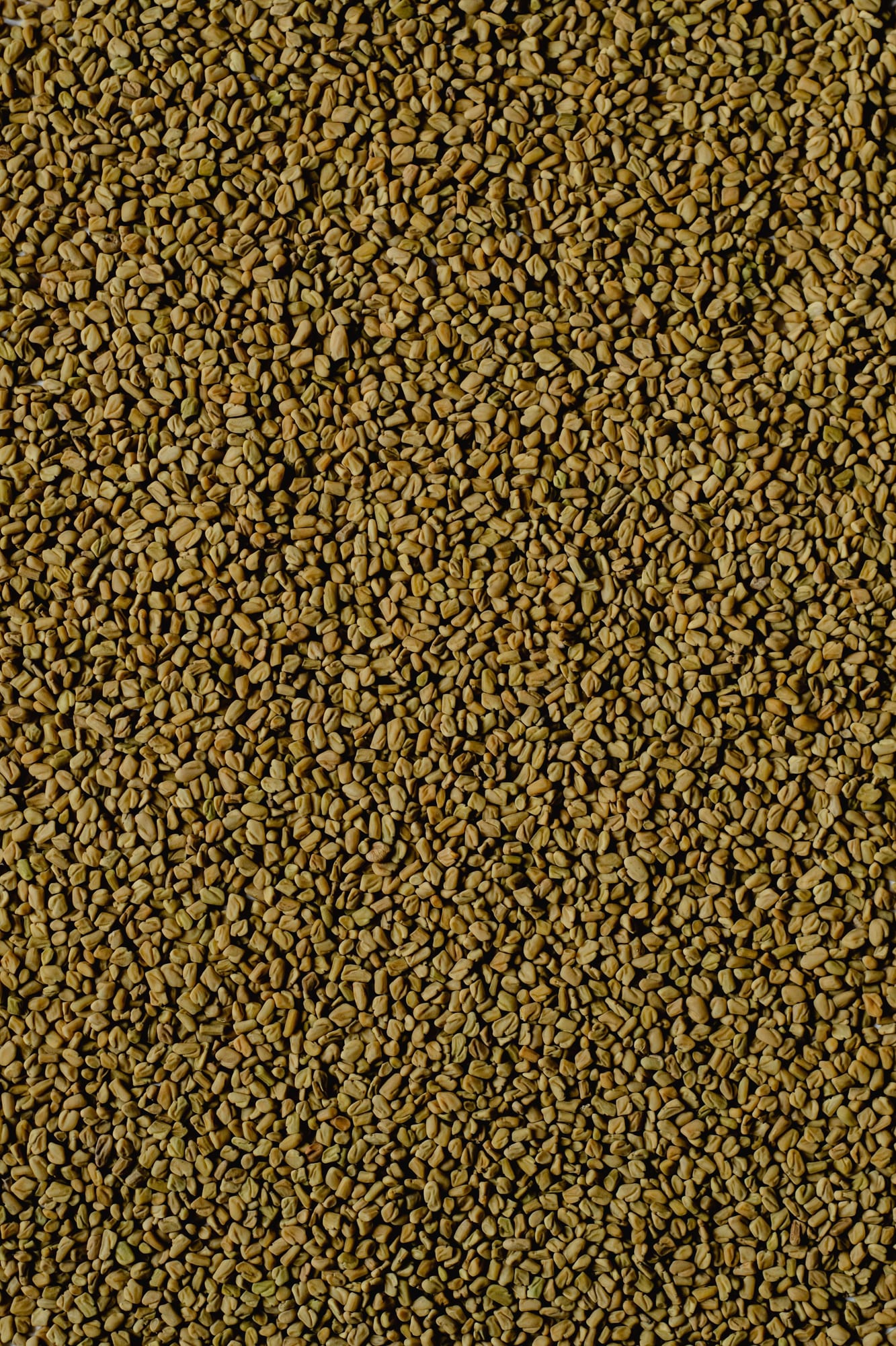 Fenugreek Seeds, export grade