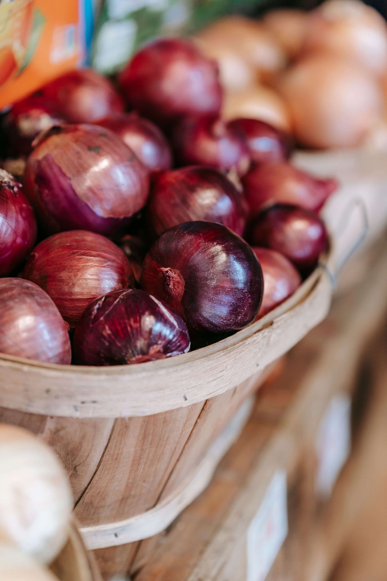 Fresh Onion, export grade