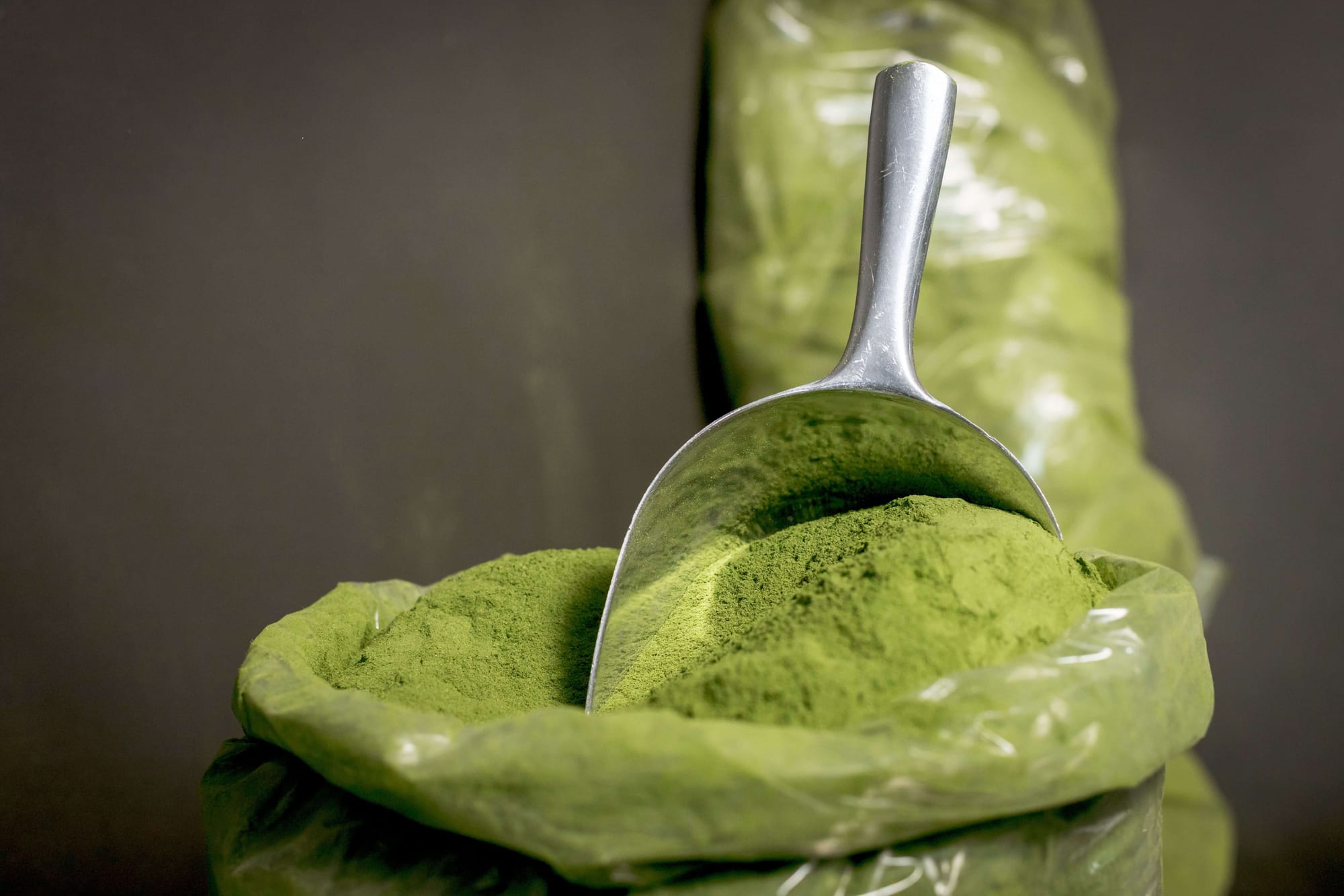 Moringa Powder, export grade