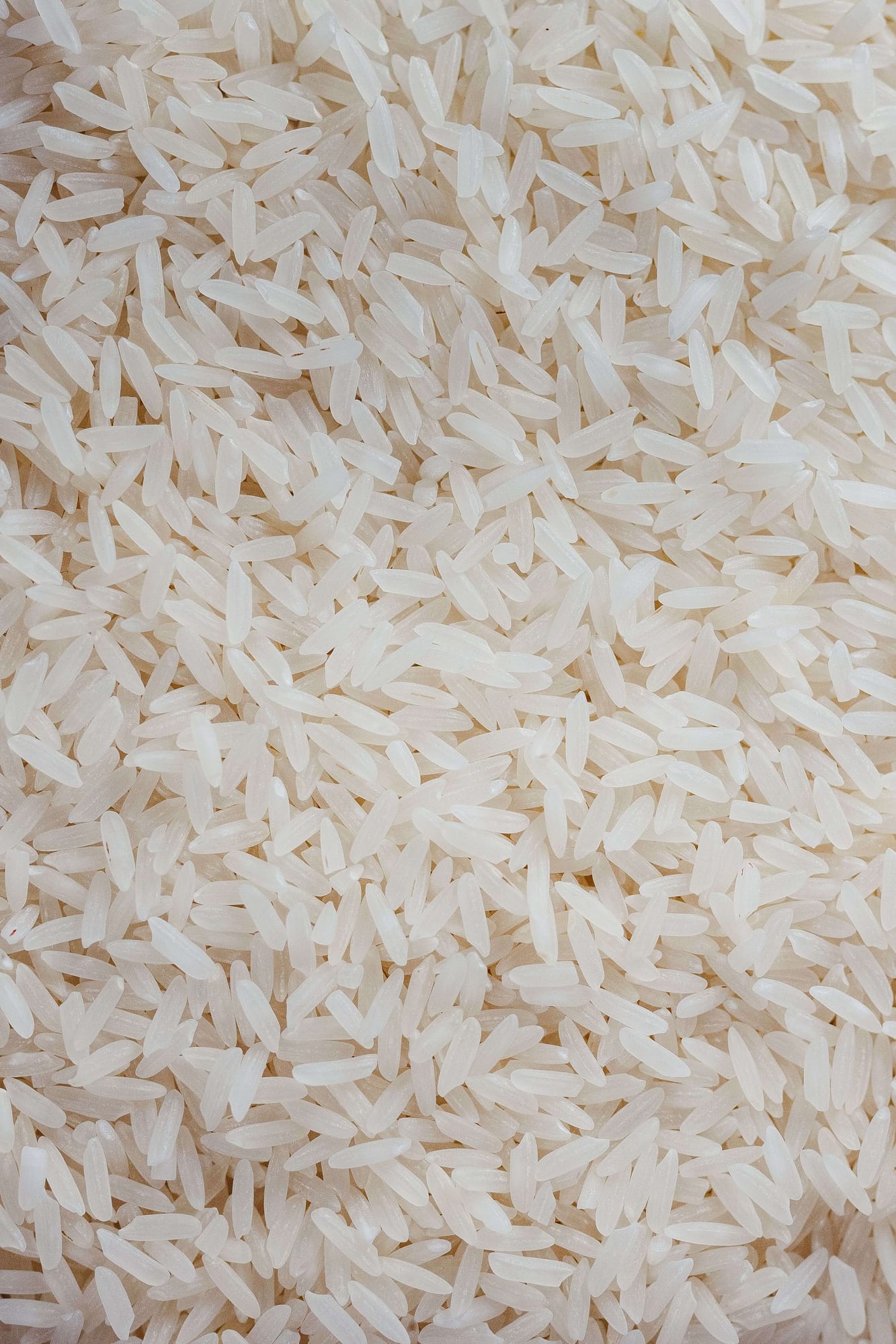 Non-Basmati Rice, export grade
