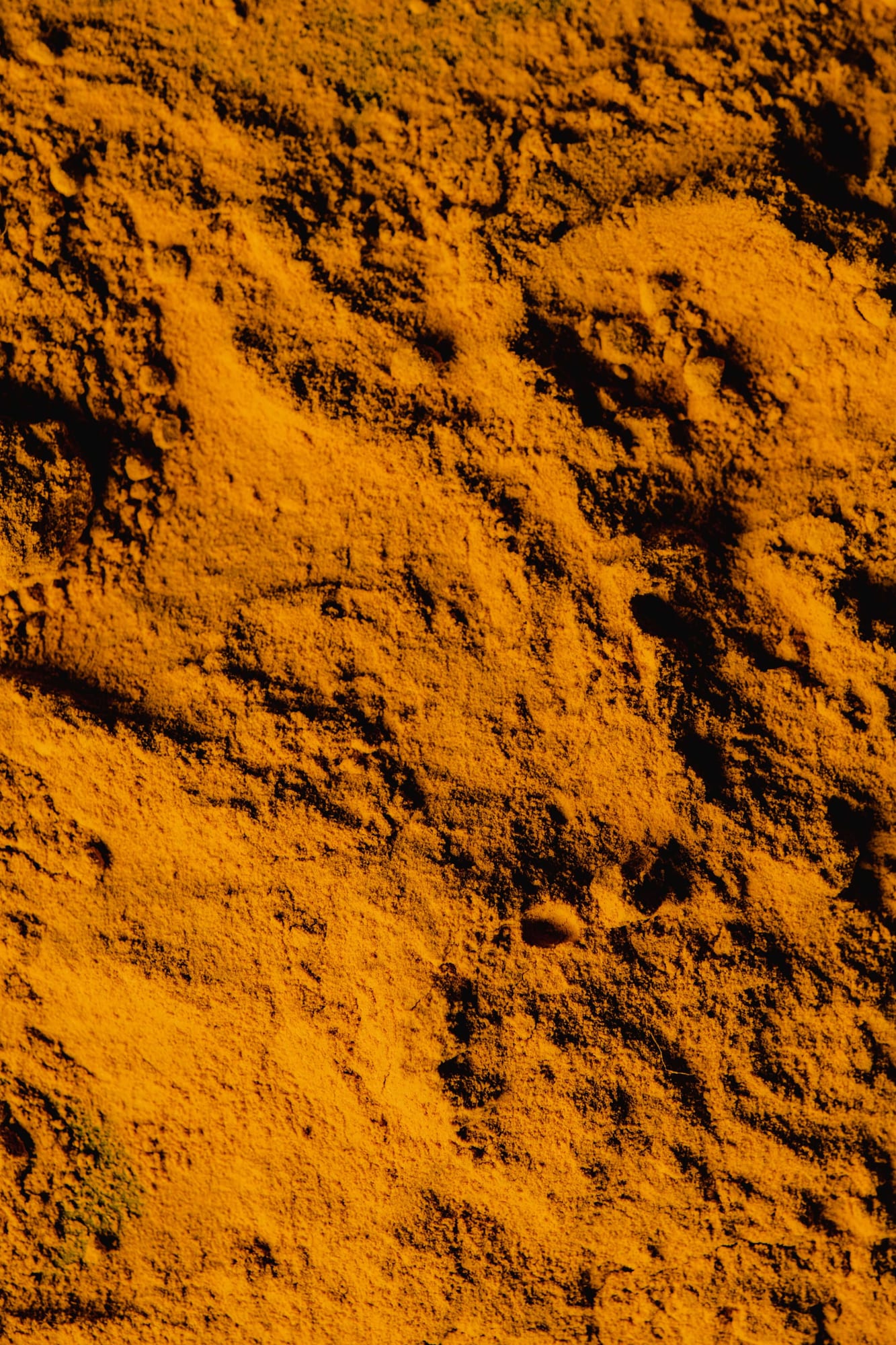 Tomato Powder, export grade