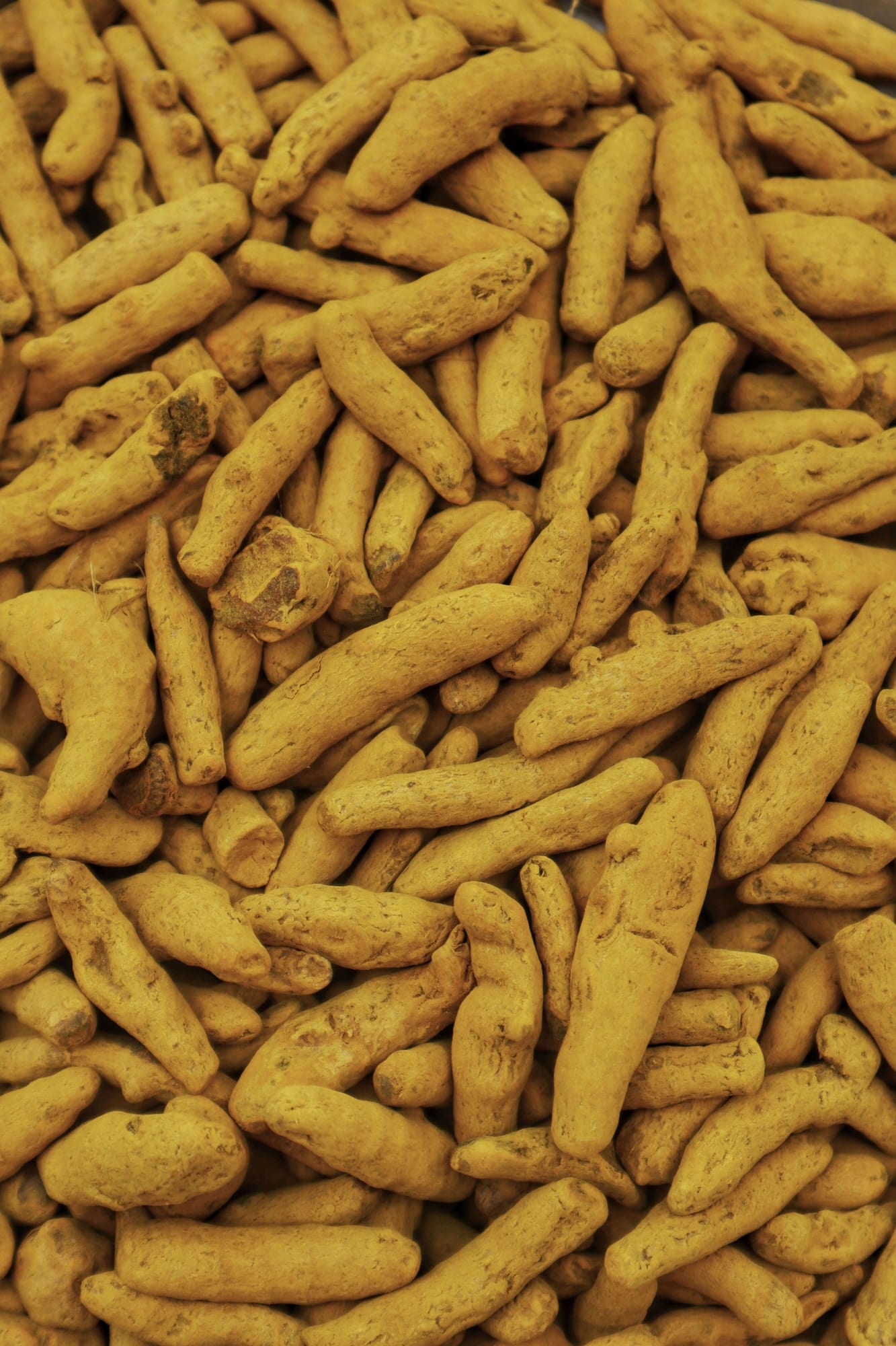 Turmeric, export grade